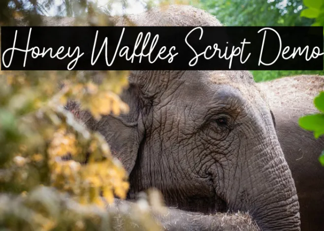 Honey Waffles Script Demo Example 1