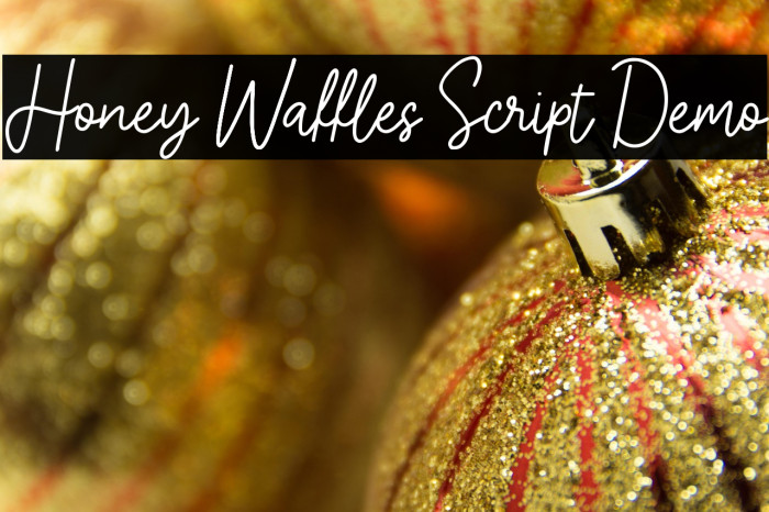 Honey Waffles Script Demo Example 2