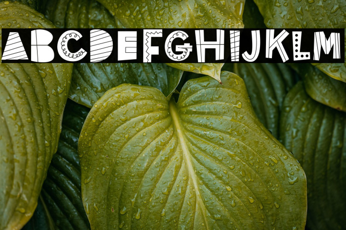 Honey cookies Example 3