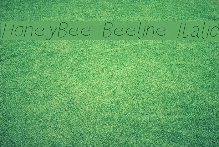 HoneyBee Beeline Italic Font examples