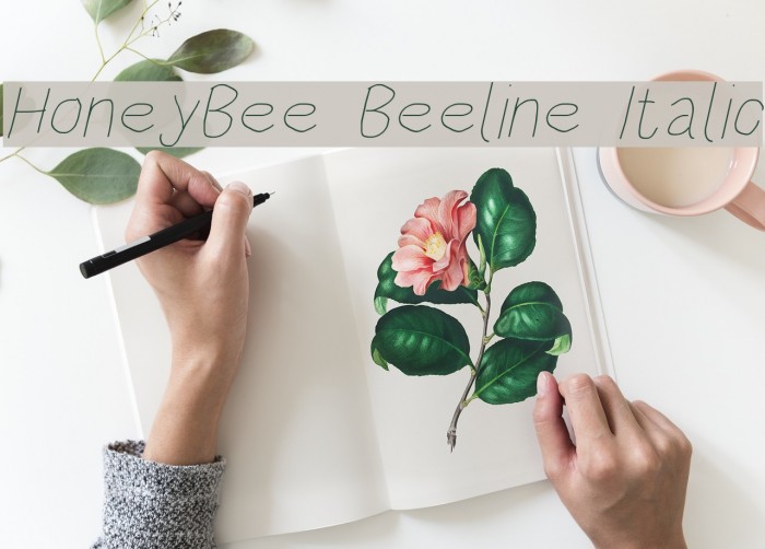 HoneyBee Beeline Italic Font examples
