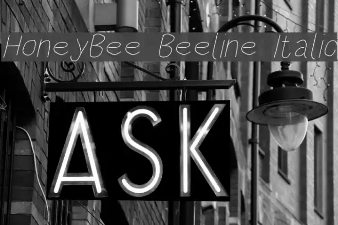 HoneyBee Beeline Italic  examples