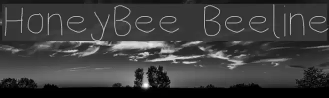 HoneyBee Beeline Font examples