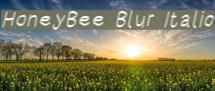 HoneyBee Blur Italic Font examples