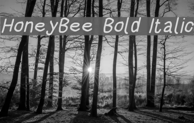 HoneyBee Bold Italic Font examples