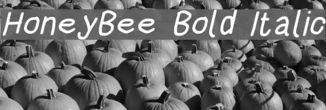 HoneyBee Bold Italic Font examples