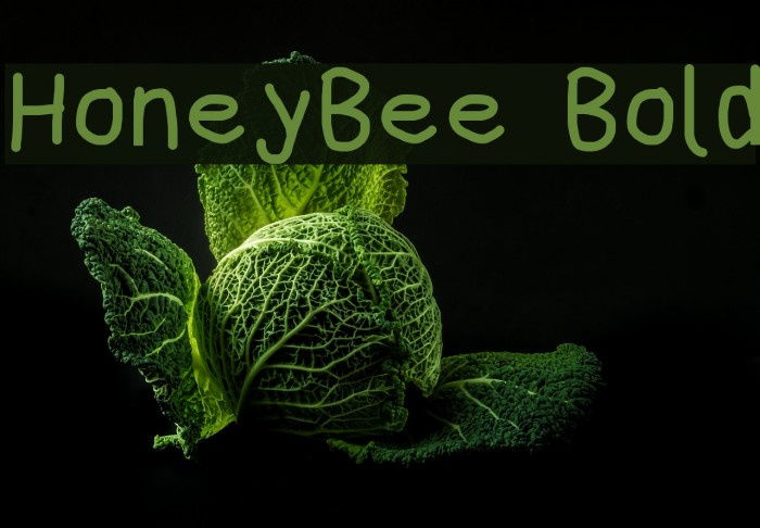 HoneyBee Bold Font examples