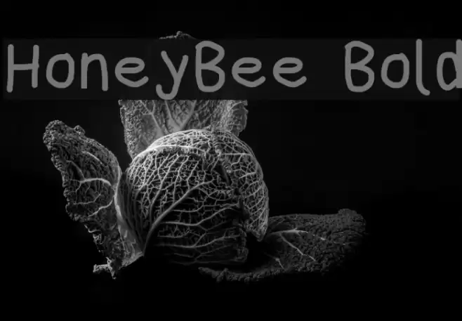 HoneyBee Bold Font examples