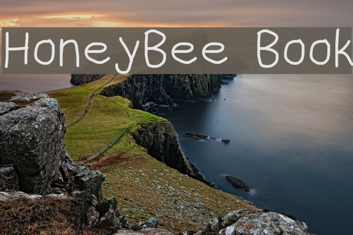 HoneyBee Book Font examples