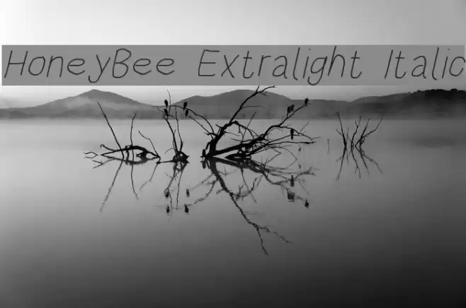 HoneyBee Extralight Italic  examples