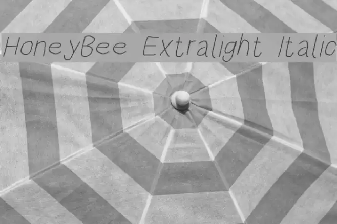 HoneyBee Extralight Italic  examples