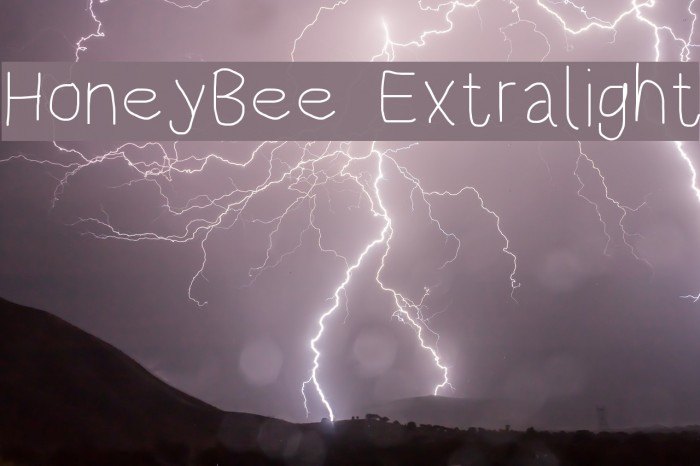 HoneyBee Extralight Example 3
