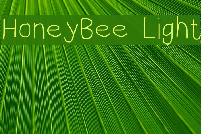 HoneyBee Light Font examples