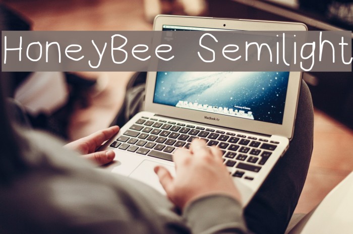 HoneyBee Semilight Font examples