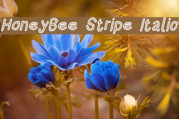 HoneyBee Stripe Italic Example 2