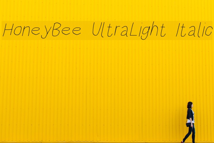 HoneyBee UltraLight Italic Font examples