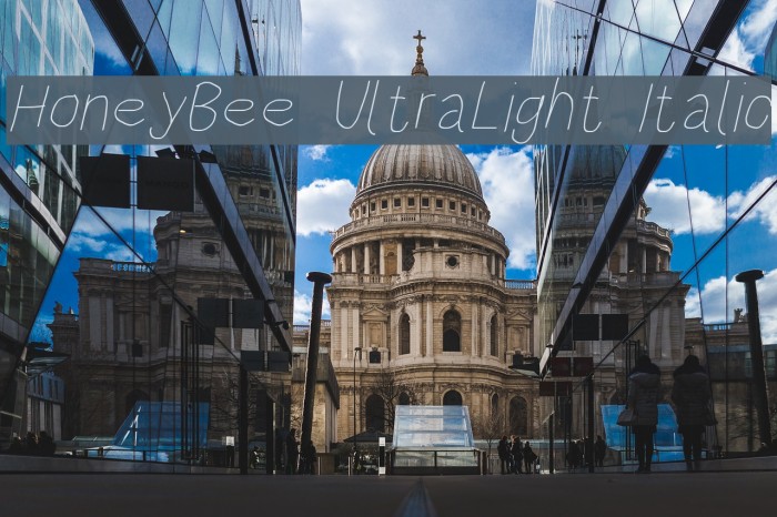 HoneyBee UltraLight Italic Font examples