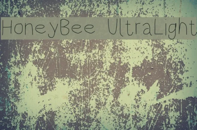 HoneyBee UltraLight Example 2