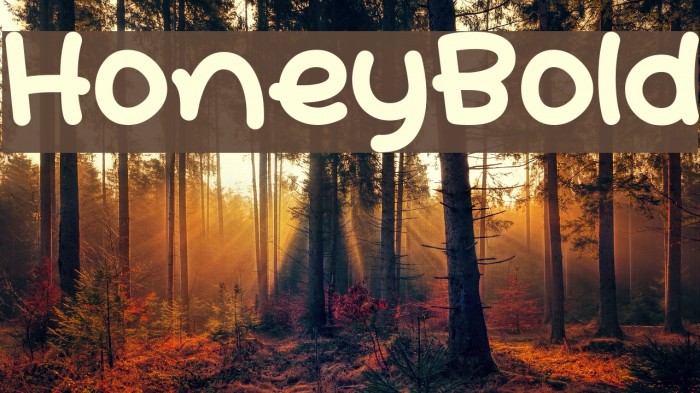 HoneyBold Example 1
