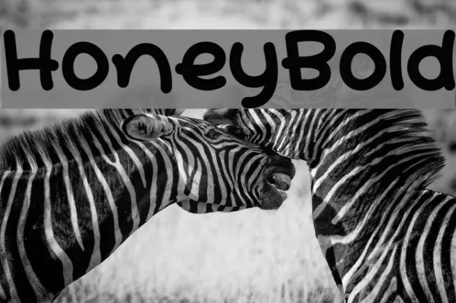 HoneyBold Example 2