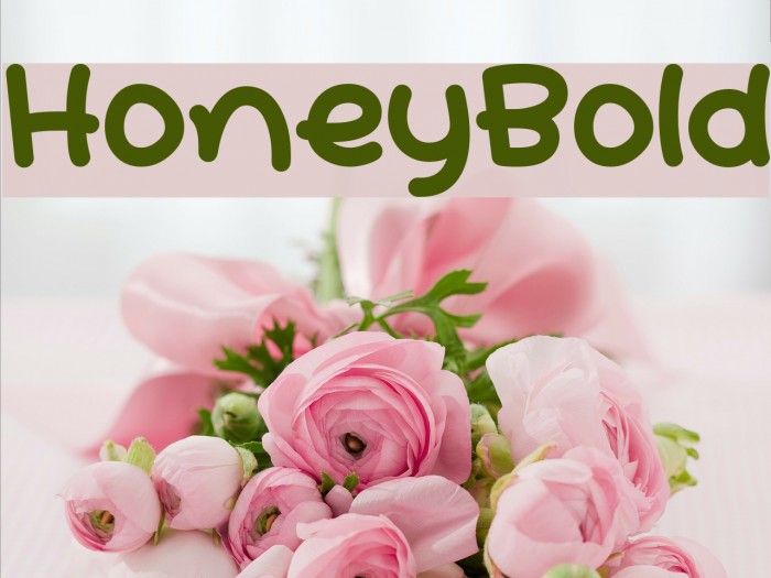 HoneyBold Example 3