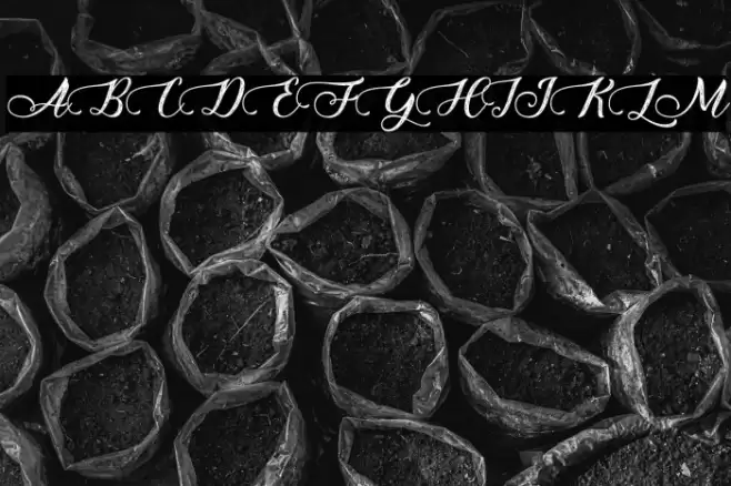 HoneyFloristPersonalUse Font examples