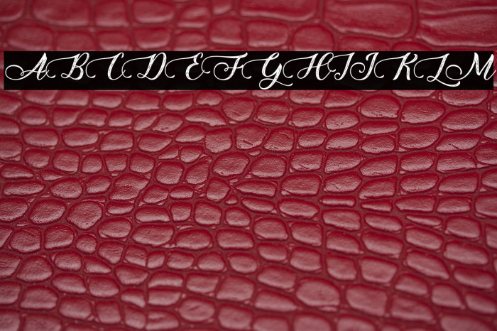 HoneyFloristPersonalUse Example 3