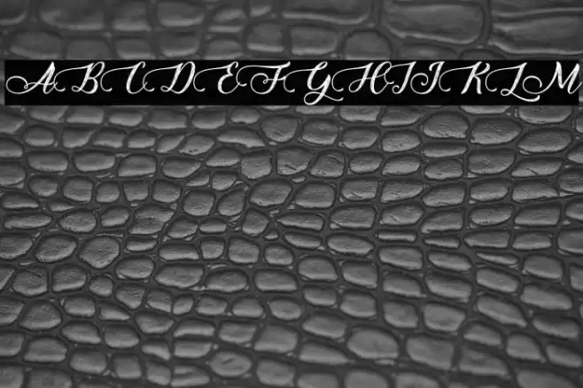 HoneyFloristPersonalUse Font examples