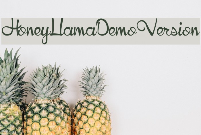 HoneyLlamaDemoVersion Font examples