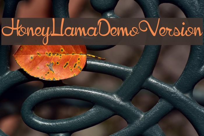 HoneyLlamaDemoVersion Font examples