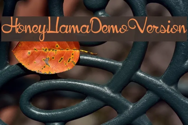 HoneyLlamaDemoVersion Example 3