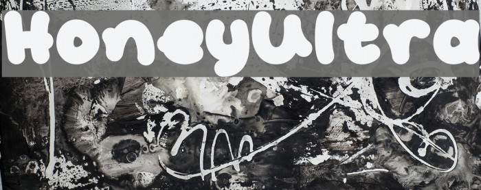 HoneyUltra Example 1