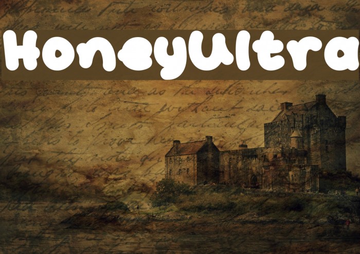 HoneyUltra Example 2