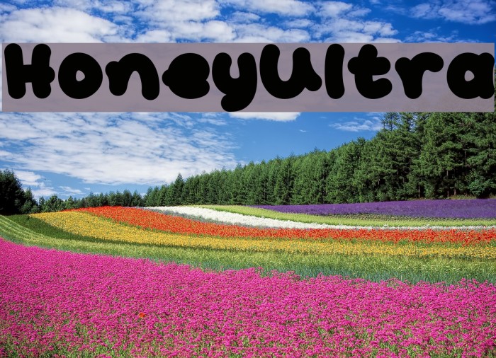 HoneyUltra Example 3