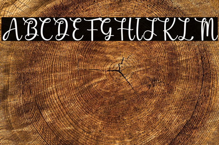 Honeybears Example 1