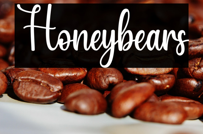 Honeybears Example 3