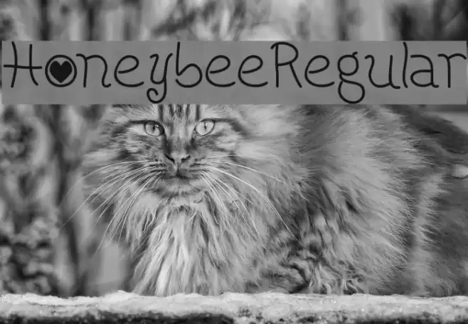 HoneybeeRegular Font examples