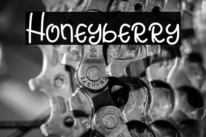 Honeyberry Example 3