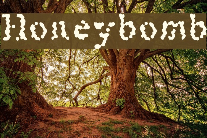 Honeybomb Font examples