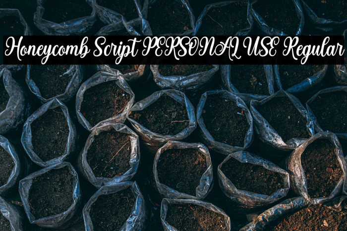Honeycomb Script PERSONAL USE Regular Example 2