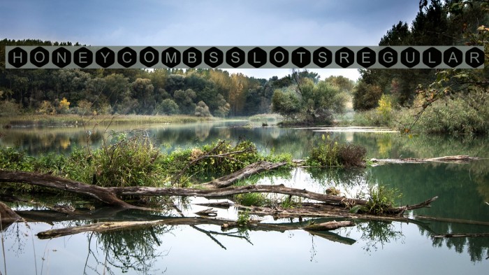 Honeycombs Slots Regular Font examples