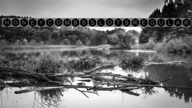 Honeycombs Slots Regular Schriftart examples