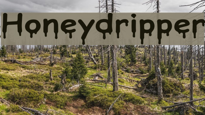 Honeydripper Font examples