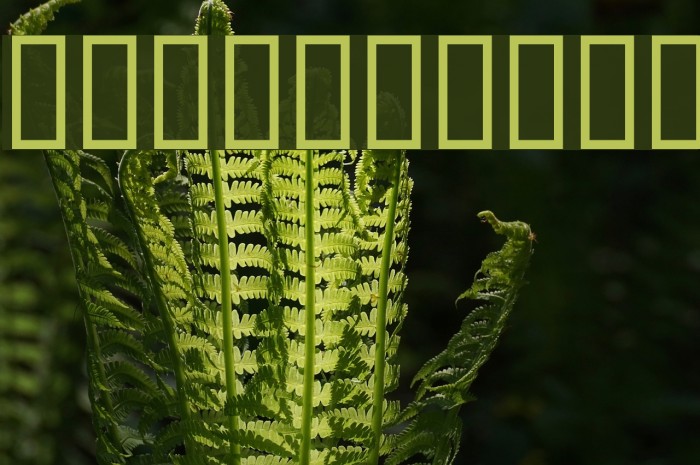 Honeyflash Font examples