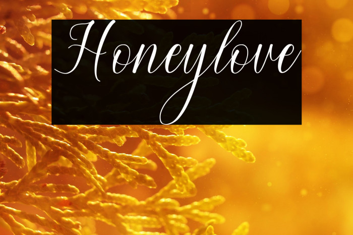 Honeylove Example 1