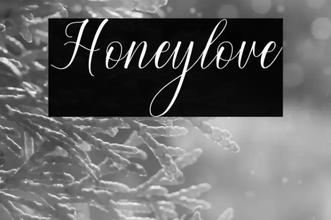Honeylove Font examples