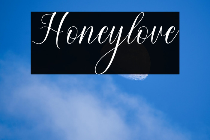 Honeylove Example 2