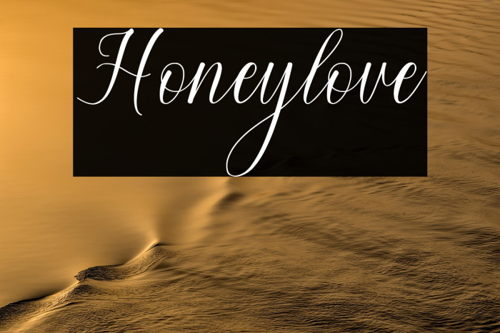Honeylove Example 3