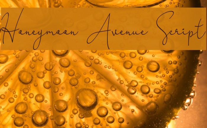 Honeymoon Avenue Script Font examples