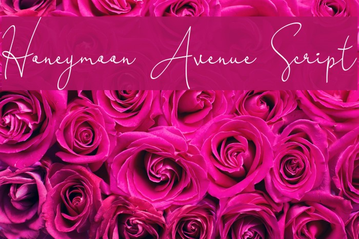 Honeymoon Avenue Script Font examples